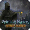 Spirits of Mystery: Amber Maiden Collector's Edition spēle