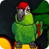 Thirsty Parrot spēle