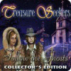 Treasure Seekers: Follow the Ghosts Collector's Edition spēle