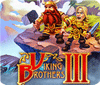 Viking Brothers 3 Collector's Edition spēle