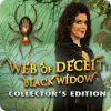Web of Deceit: Black Widow Collector's Edition spēle