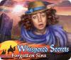 Whispered Secrets: Forgotten Sins spēle