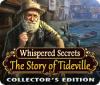 Whispered Secrets: The Story of Tideville Collector's Edition spēle
